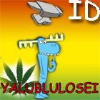 Lis